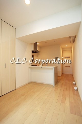 カスタリア新富町Ⅳ リビング