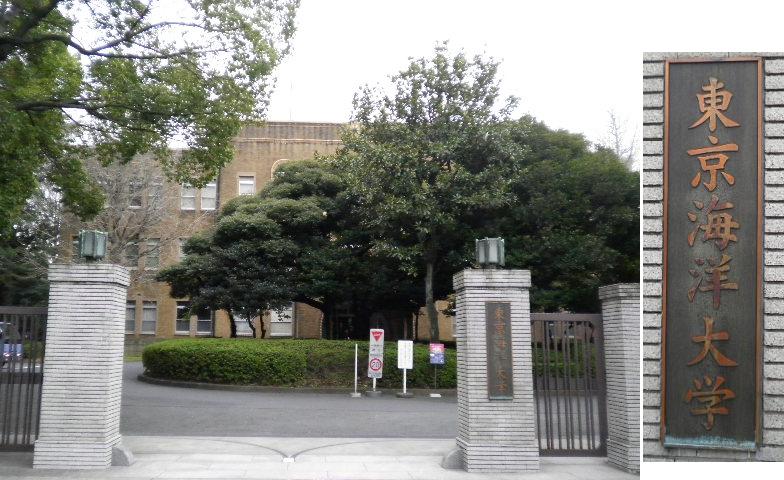 サンテミリオン門前仲町  大学・短大