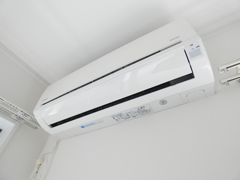Palatino　Kameari その他12