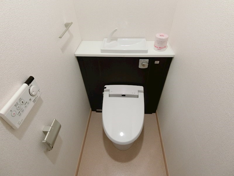 エアリーミルト その他1