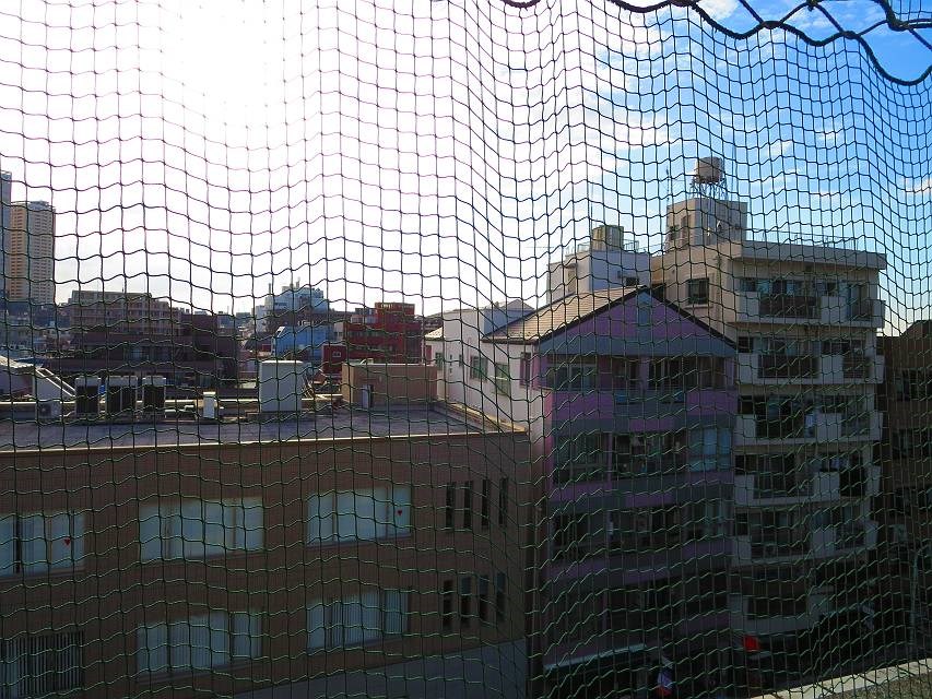 ＶＩＳＵＡＬ　ＣＩＴＹ その他2