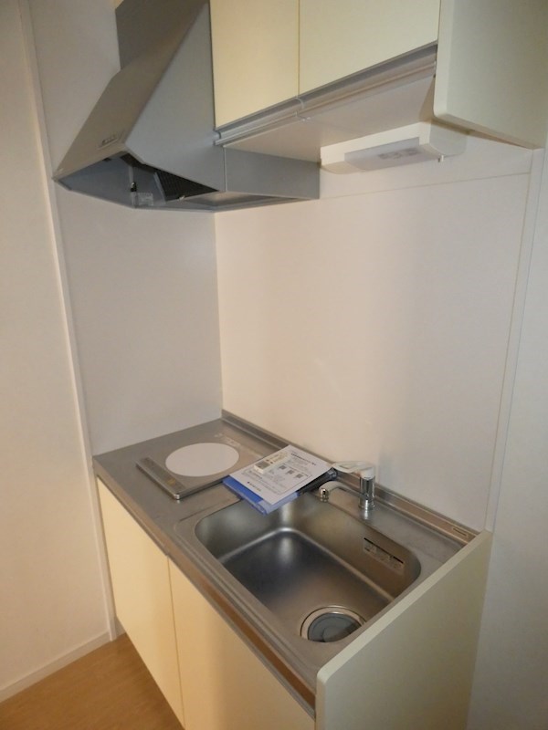 パナハイツ その他10