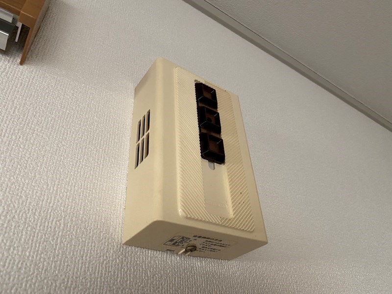 パレーシャル鈴木 その他3