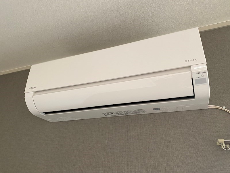 パレーシャル鈴木 その他6