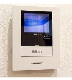 ベルビューカシェット セキュリティ