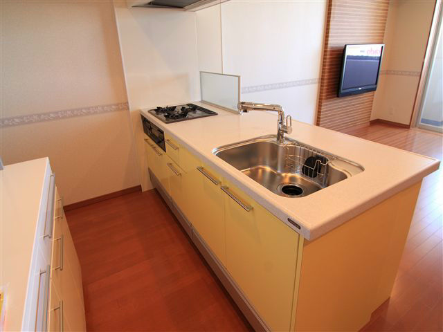 ロイヤルパークス西新井 キッチン