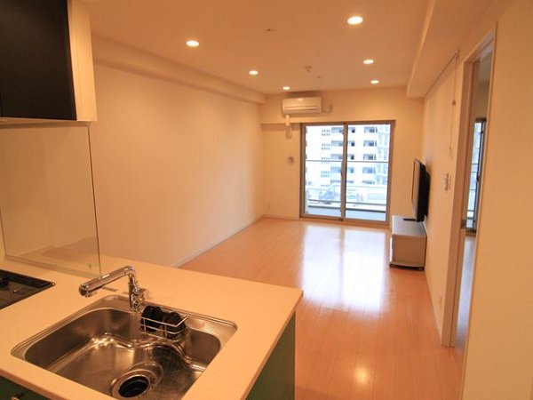 ロイヤルパークス新田 その他部屋・スペース