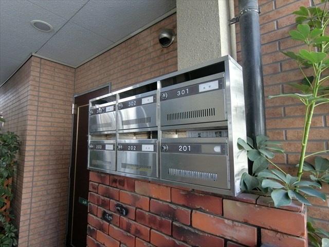 エバーグリーン  その他2