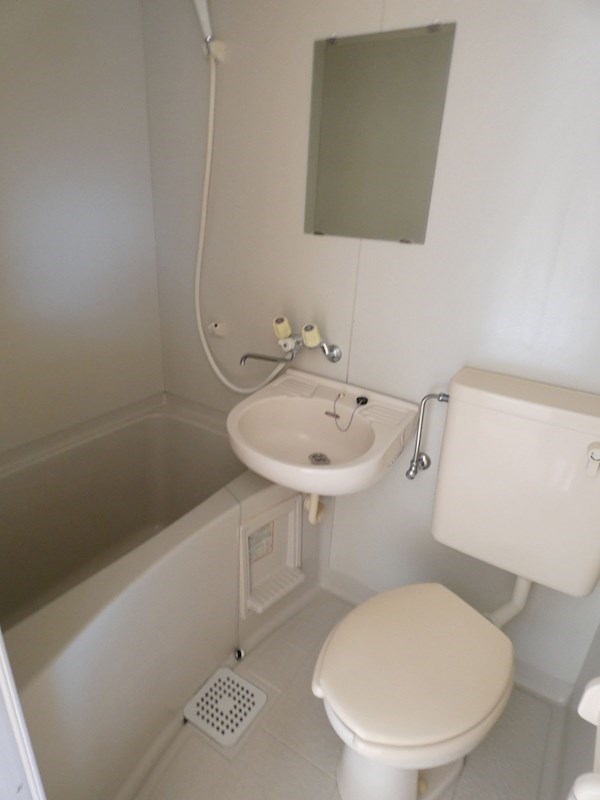 エバーグリーン  その他6