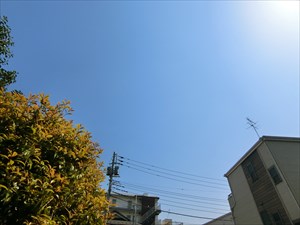 グラシアリノ町屋 その他6