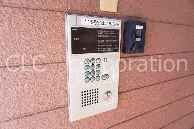 オリーブ その他2