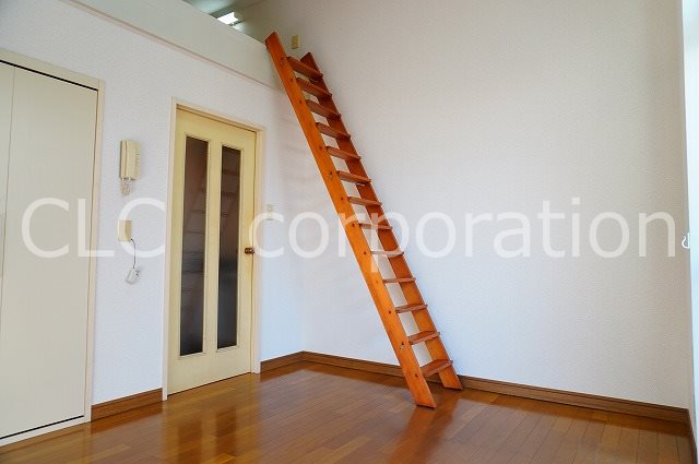 オリーブ その他3