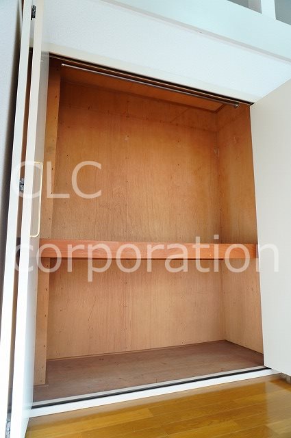 オリーブ その他4