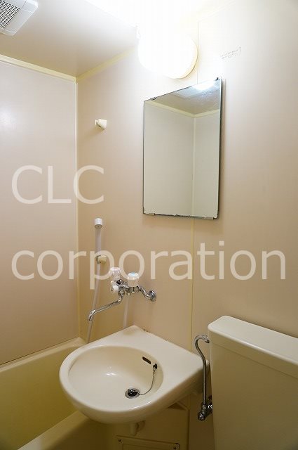 オリーブ その他5