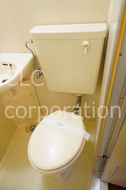 オリーブ その他6