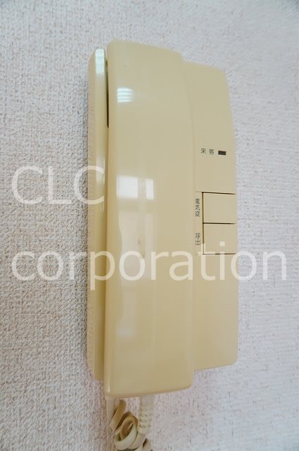 オリーブ その他8