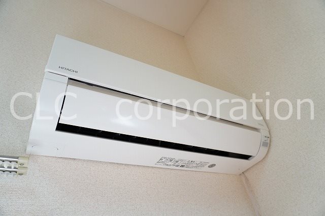 オリーブ その他9