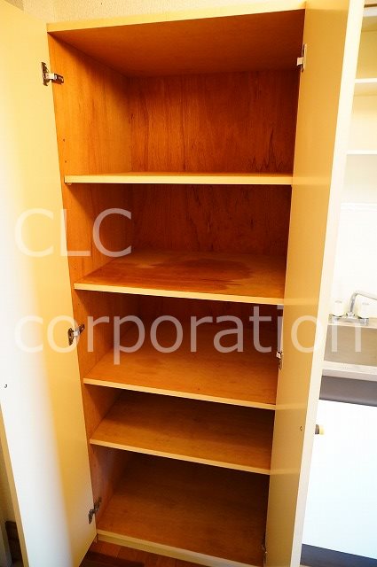 オリーブ その他11