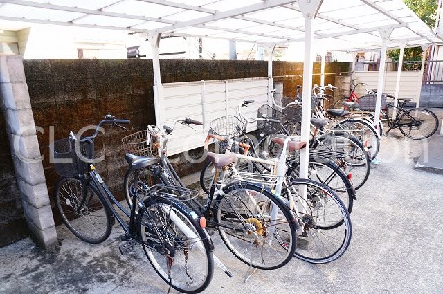 オリーブ その他12