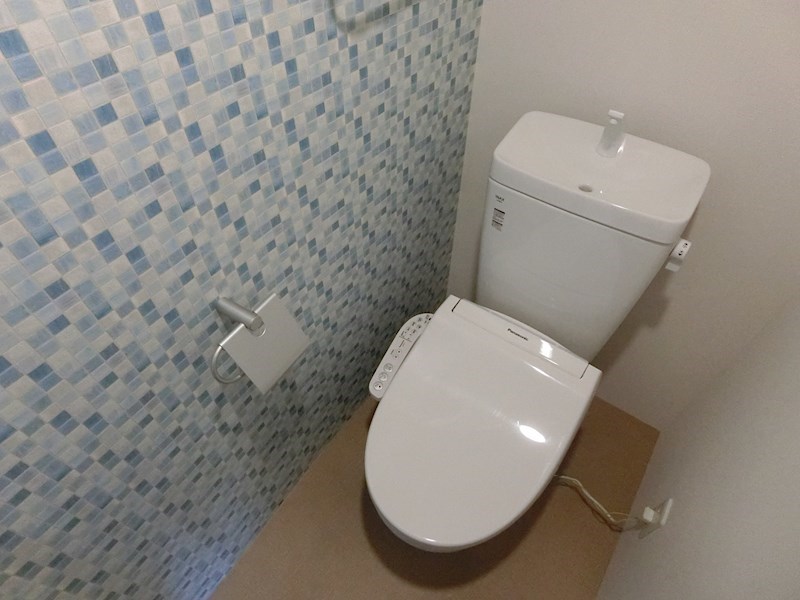 AO UMEJIMA(アオウメジマ)  その他1