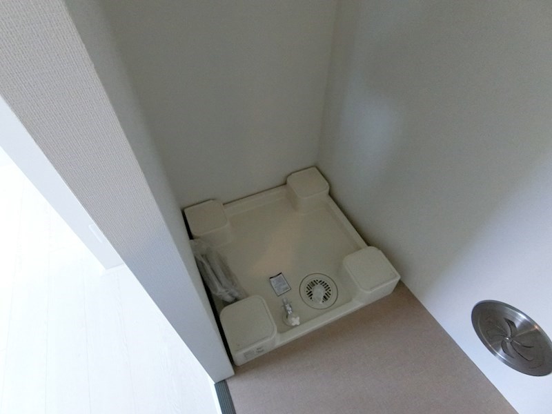 AO UMEJIMA(アオウメジマ)  その他3