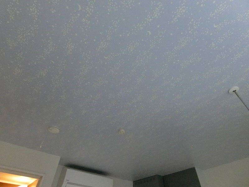 AO UMEJIMA(アオウメジマ)  その他9