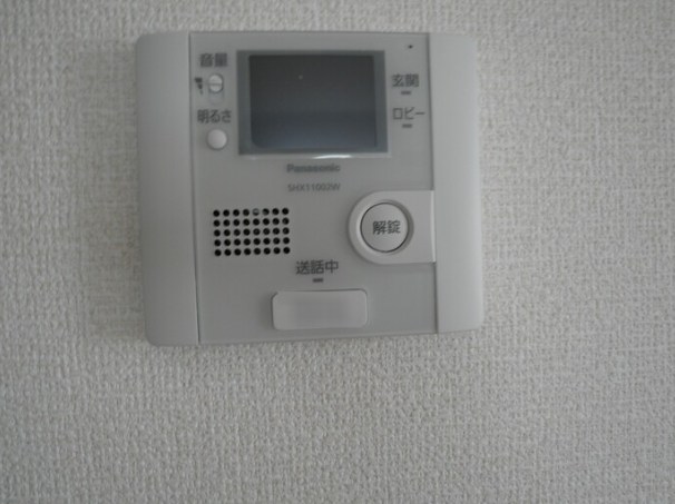 ゼスト   その他5