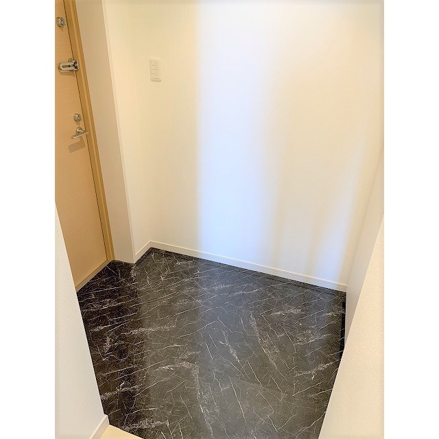 ニューシティアパートメンツ新川Ⅱ 玄関