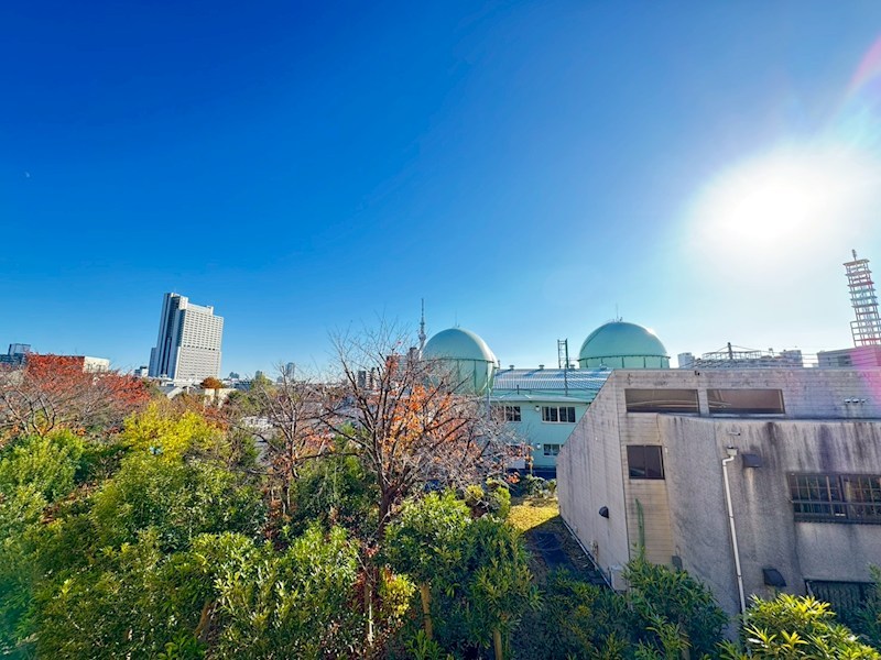 ドミール325  その他3