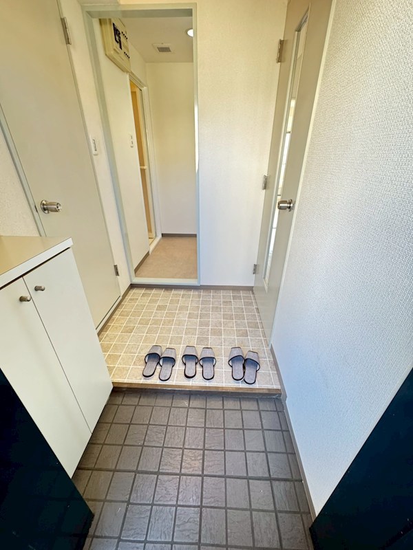 ドミール325  玄関