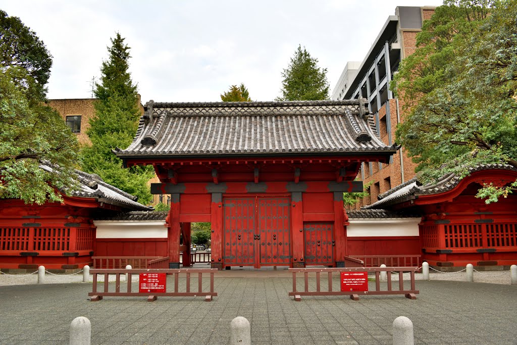 リベール西片 周辺画像1