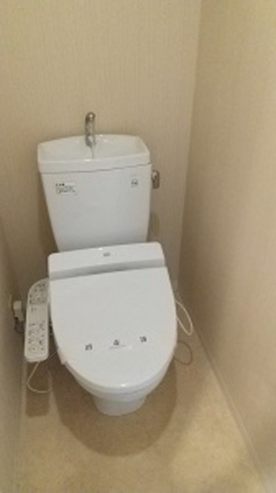 カスタリア新富町Ⅲ その他1
