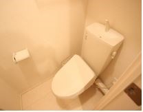 ルピナ その他4