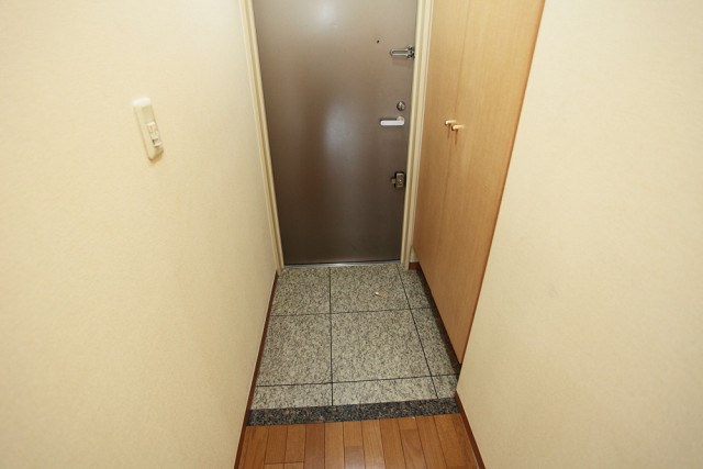 カスタリア新富町 玄関