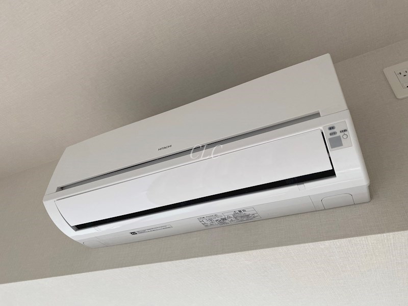 ブランシエスタ王子 その他1