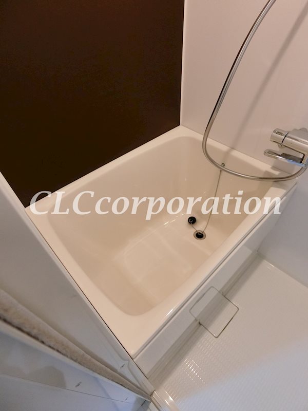 FLレジデンス京御銀座Ⅲ   風呂画像