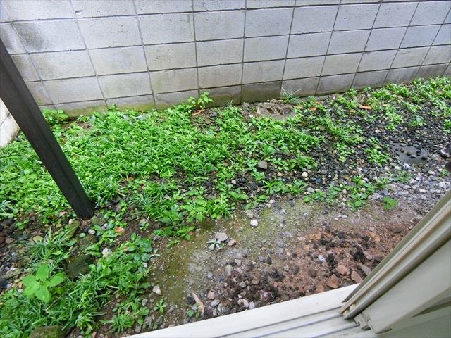 辰巳コーポ   ベランダ