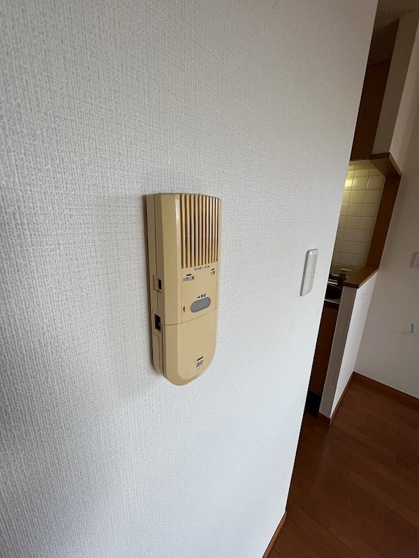 ミラコスタ その他4