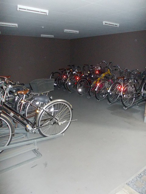 イーリス　ニシオオジマ その他8