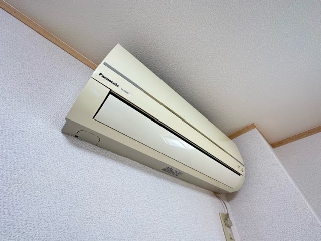 アンプルールフェールM・Y その他4