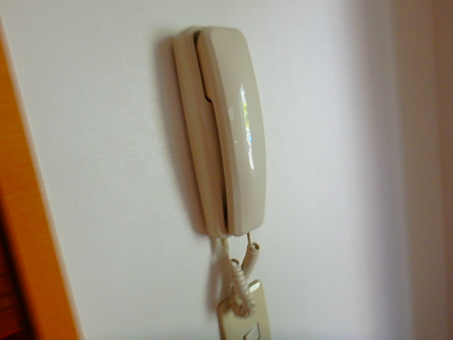 プレミールWADA  その他3