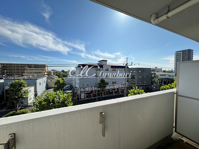 ホワイトマーベル その他14