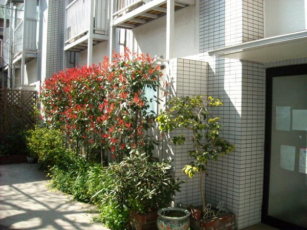 朋悠館 ベランダ