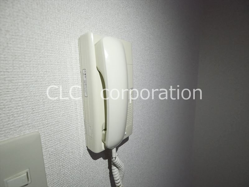 サリエラ その他3