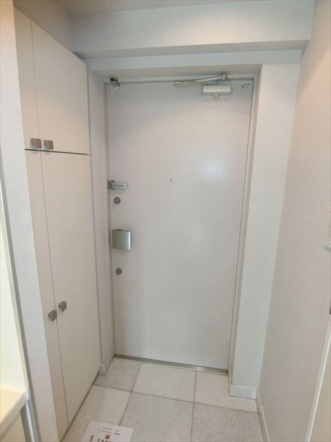 カスタリア銀座Ⅱ   玄関