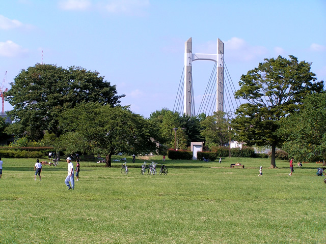 ジュネス木場公園 周辺画像6