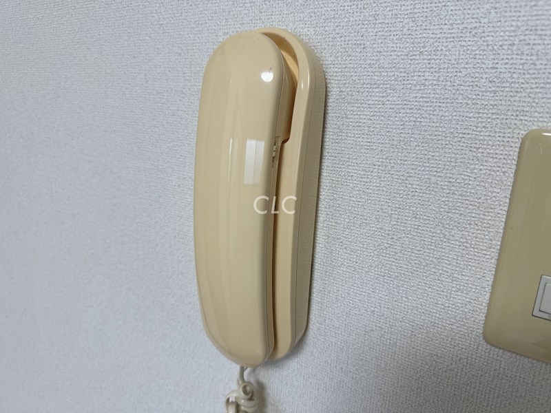 かいづかファミリア  その他1