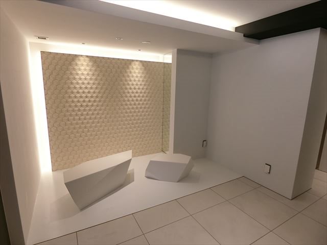 ザ・ライオンズフォーシア八丁堀  その他5