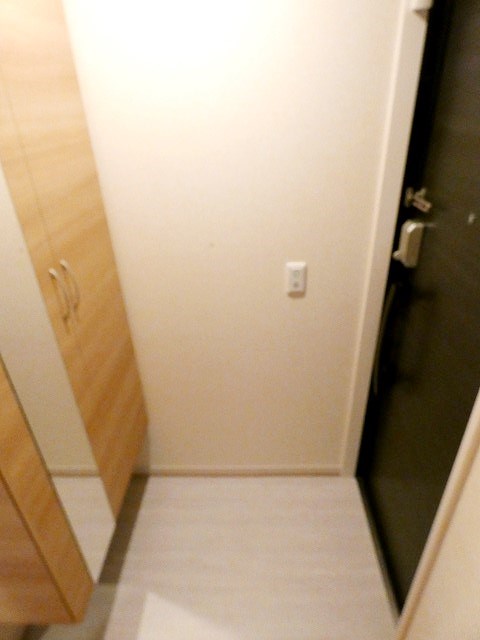 アムール東向島 玄関