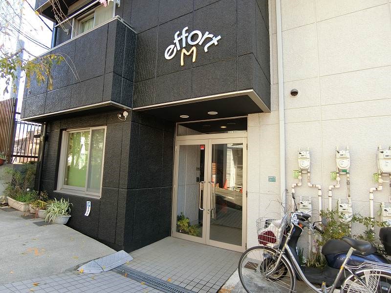 effort M  その他1